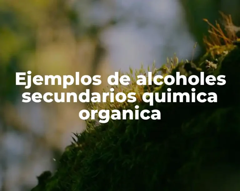 Ejemplos de alcoholes secundarios quimica organica