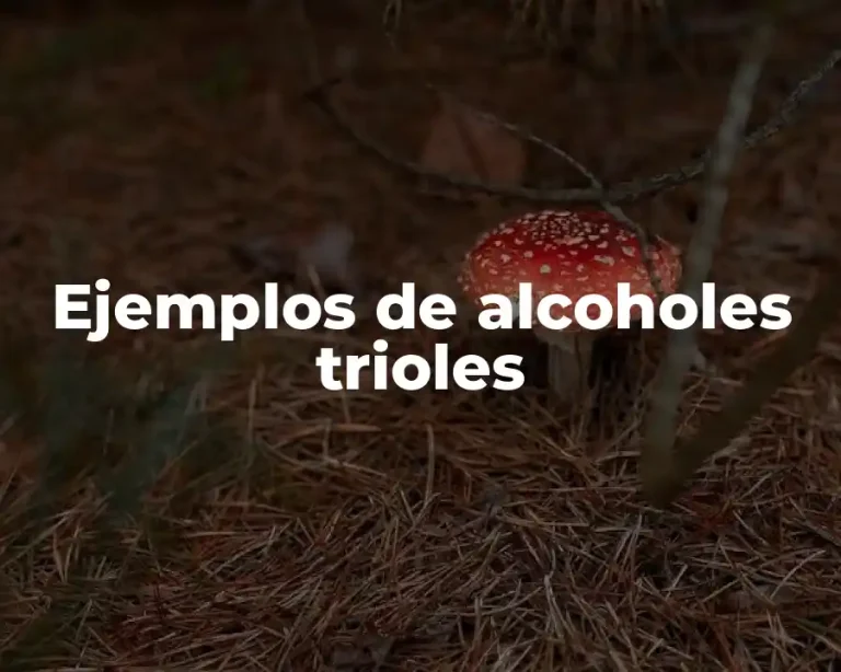 Ejemplos de alcoholes trioles