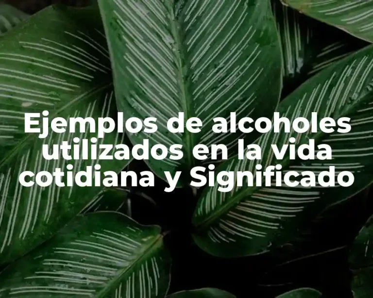 Ejemplos de alcoholes utilizados en la vida cotidiana y Significado