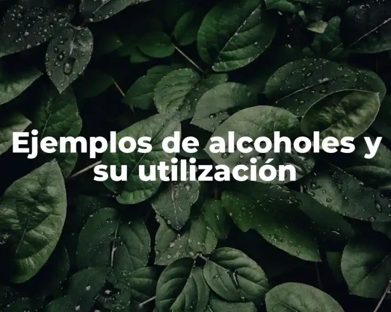 Ejemplos de alcoholes y su utilización