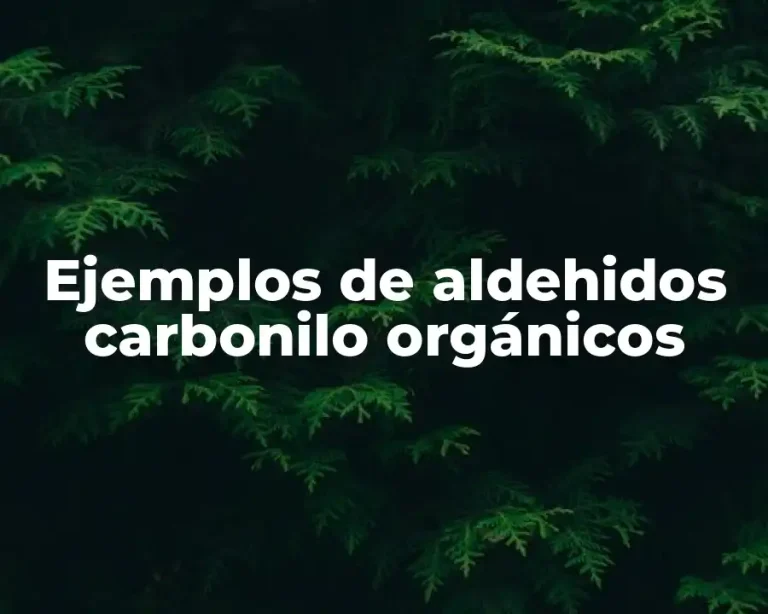 Ejemplos de aldehidos carbonilo orgánicos