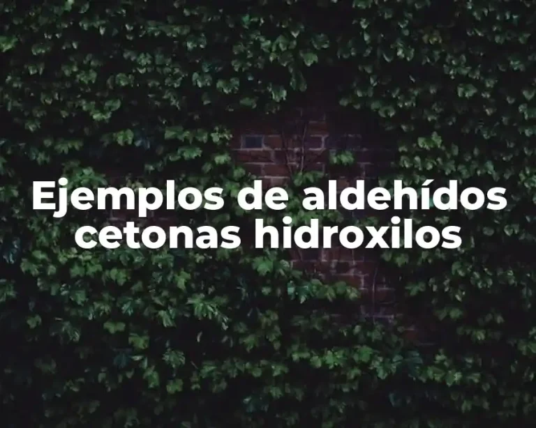 Ejemplos de aldehídos cetonas hidroxilos