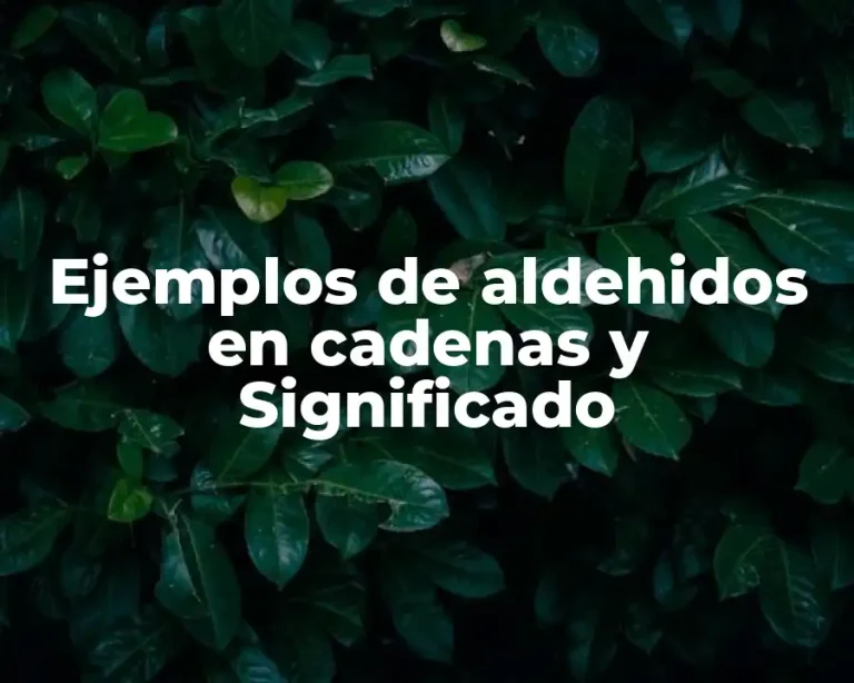 Ejemplos de aldehidos en cadenas y Significado