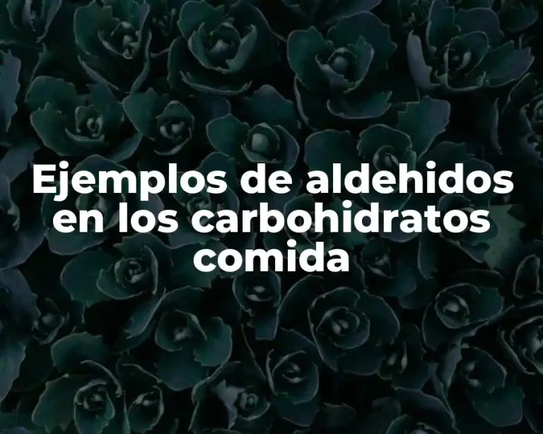 Ejemplos de aldehidos en los carbohidratos comida