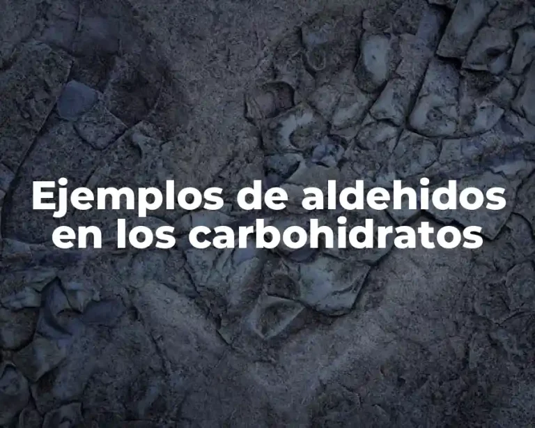 Ejemplos de aldehidos en los carbohidratos