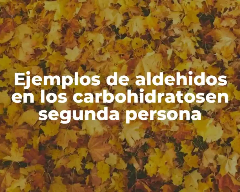 Ejemplos de aldehidos en los carbohidratosen segunda persona