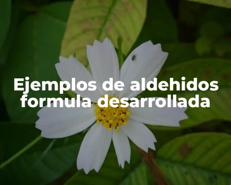 Ejemplos de aldehidos formula desarrollada