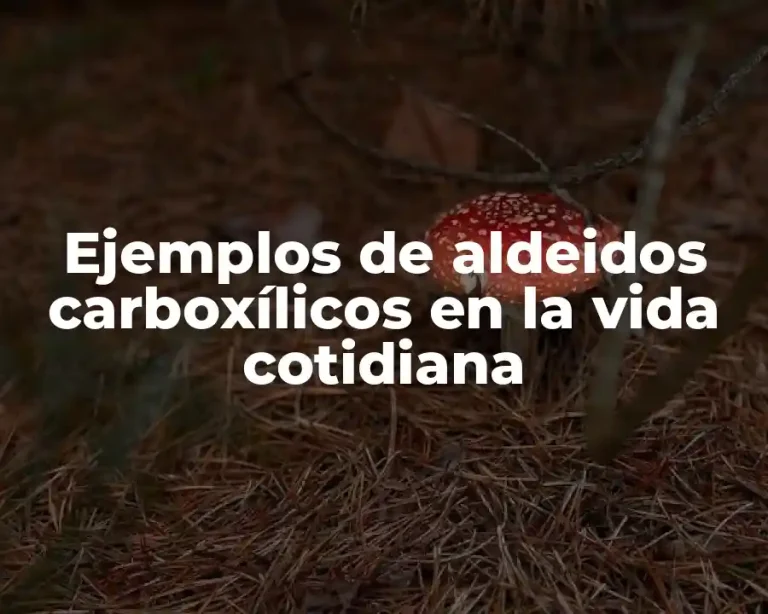 Ejemplos de aldeidos carboxílicos en la vida cotidiana