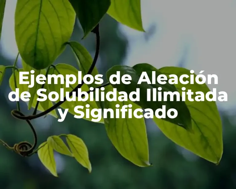 Ejemplos de Aleación de Solubilidad Ilimitada y Significado