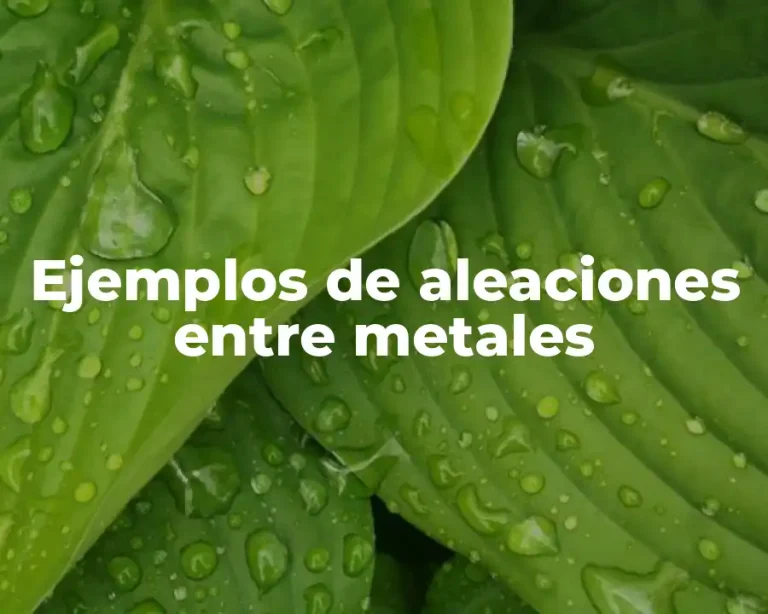 Ejemplos de aleaciones entre metales