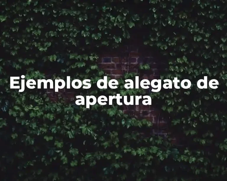 Ejemplos de alegato de apertura