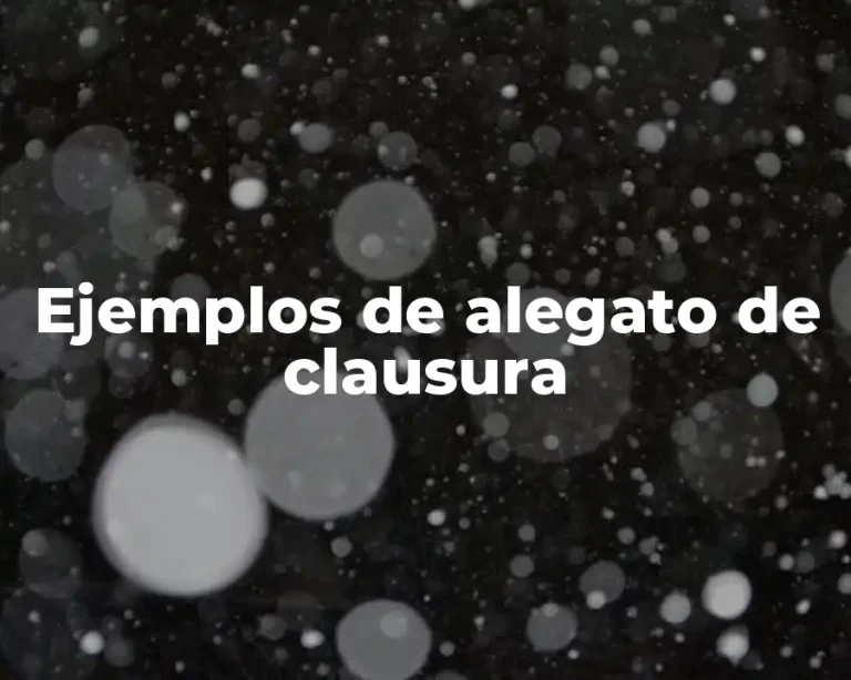 Ejemplos de alegato de clausura