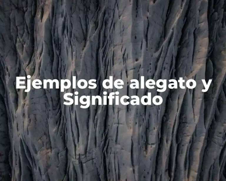 Ejemplos de alegato y Significado