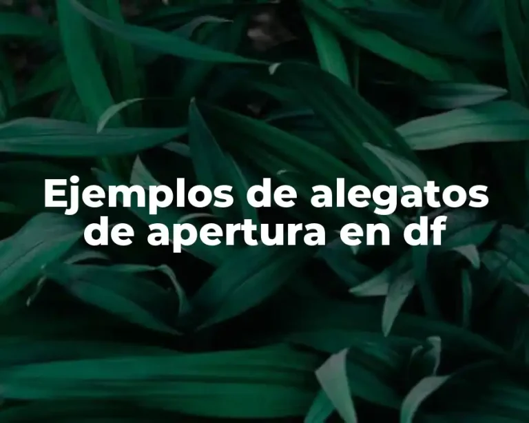 Ejemplos de alegatos de apertura en df