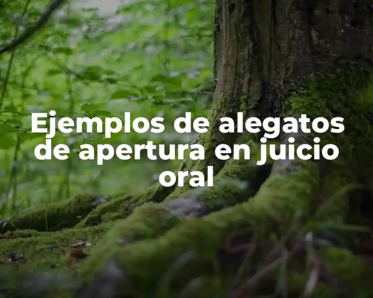 Ejemplos de alegatos de apertura en juicio oral