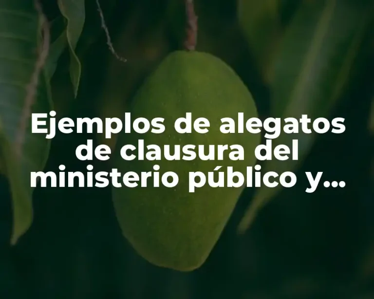 Ejemplos de alegatos de clausura del ministerio público y Significado