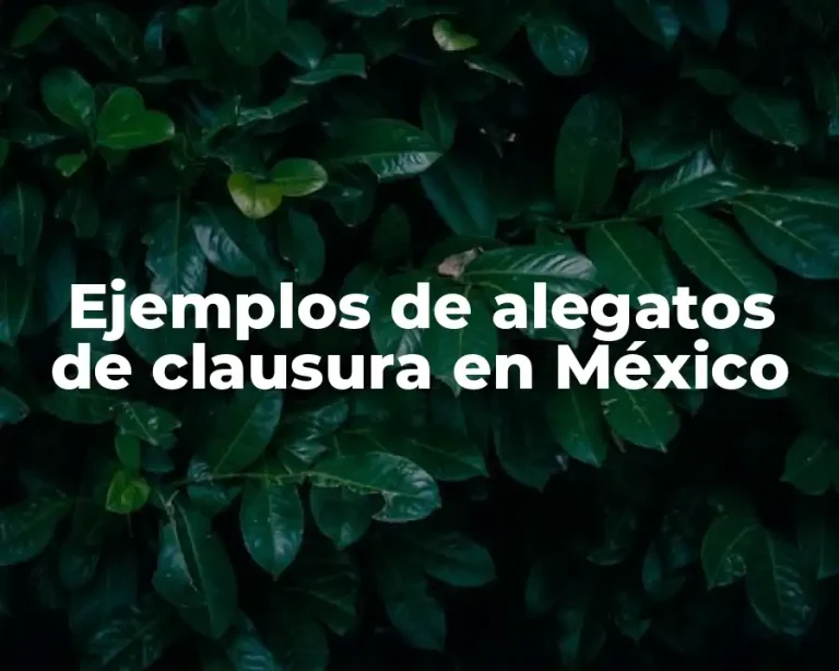 Ejemplos de alegatos de clausura en México