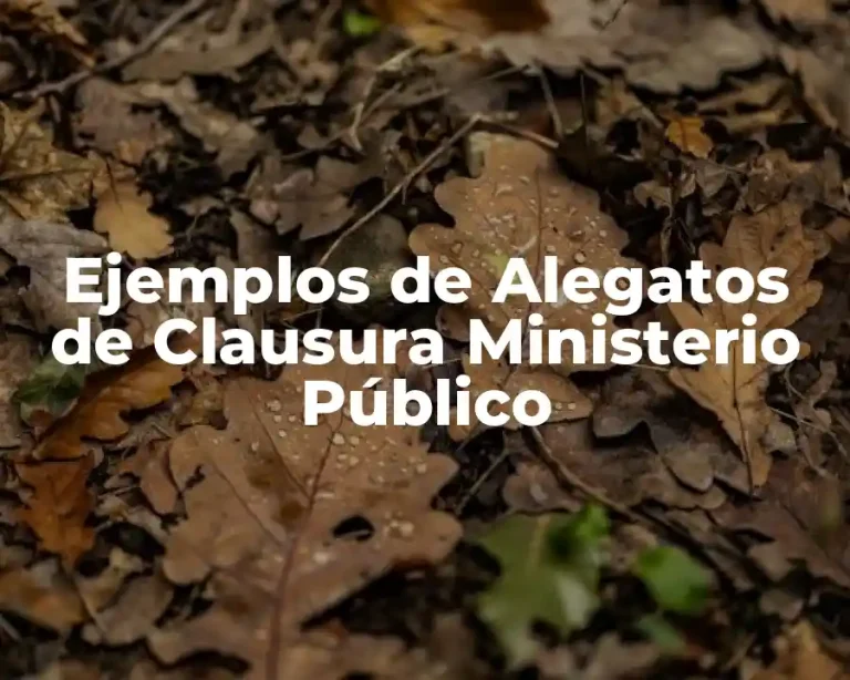 Ejemplos de Alegatos de Clausura Ministerio Público