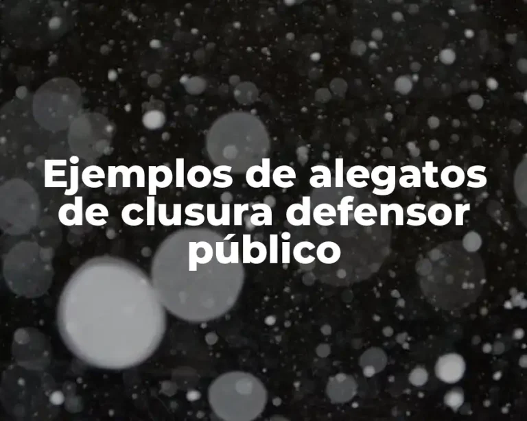 Ejemplos de alegatos de clusura defensor público