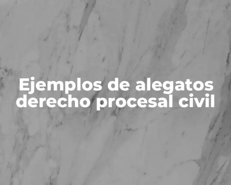 Ejemplos de alegatos derecho procesal civil