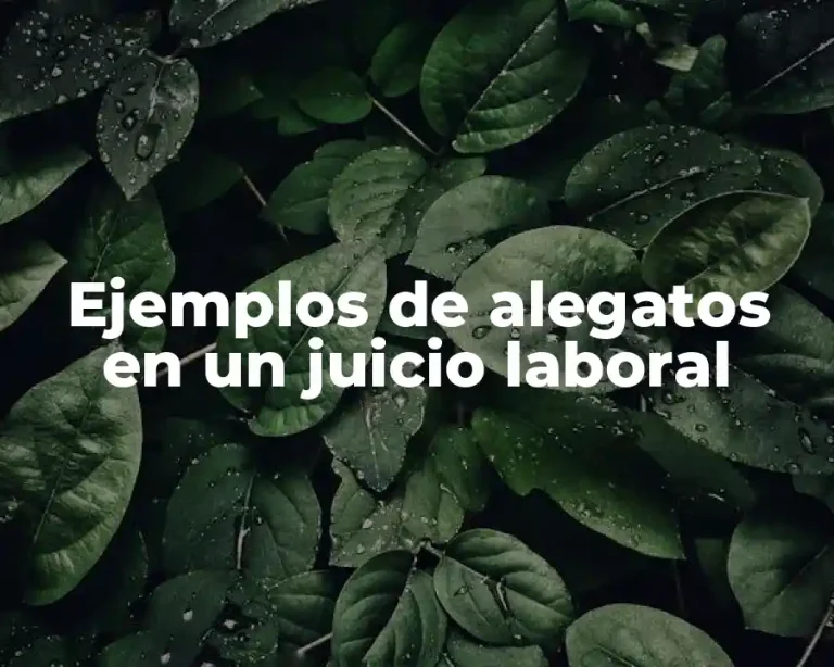 Ejemplos de alegatos en un juicio laboral