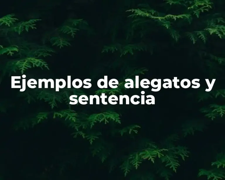 Ejemplos de alegatos y sentencia