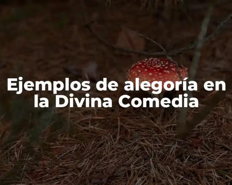 Ejemplos de alegoría en la Divina Comedia