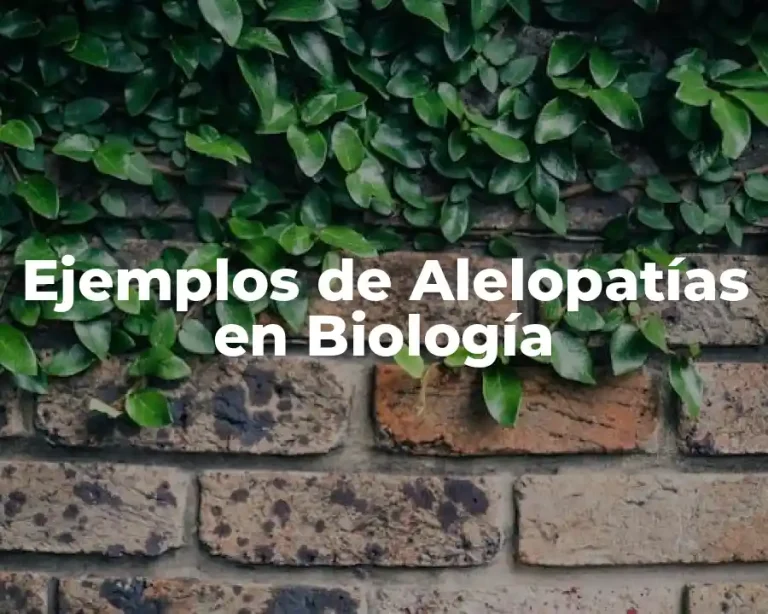 Ejemplos de Alelopatías en Biología