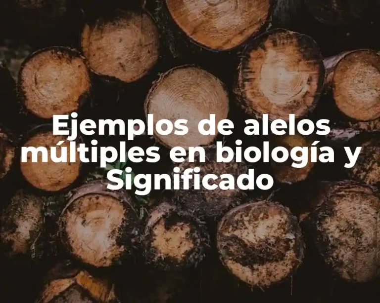 Ejemplos de alelos múltiples en biología y Significado