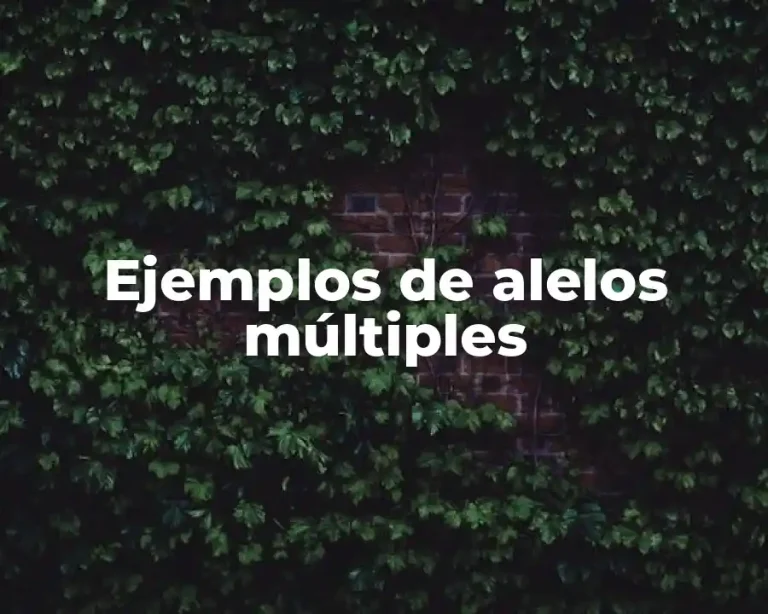 Ejemplos de alelos múltiples