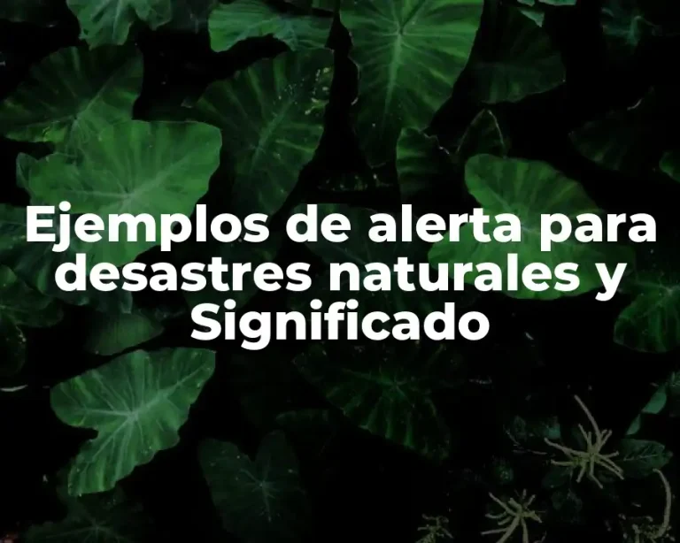 Ejemplos de alerta para desastres naturales y Significado