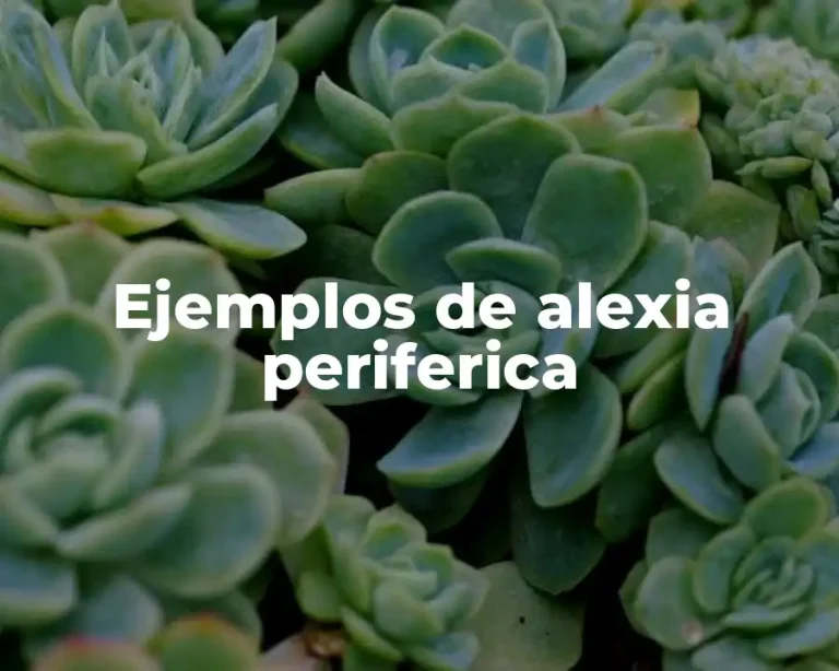 Ejemplos de alexia periferica