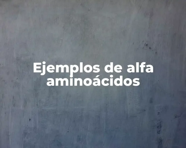 Ejemplos de alfa aminoácidos