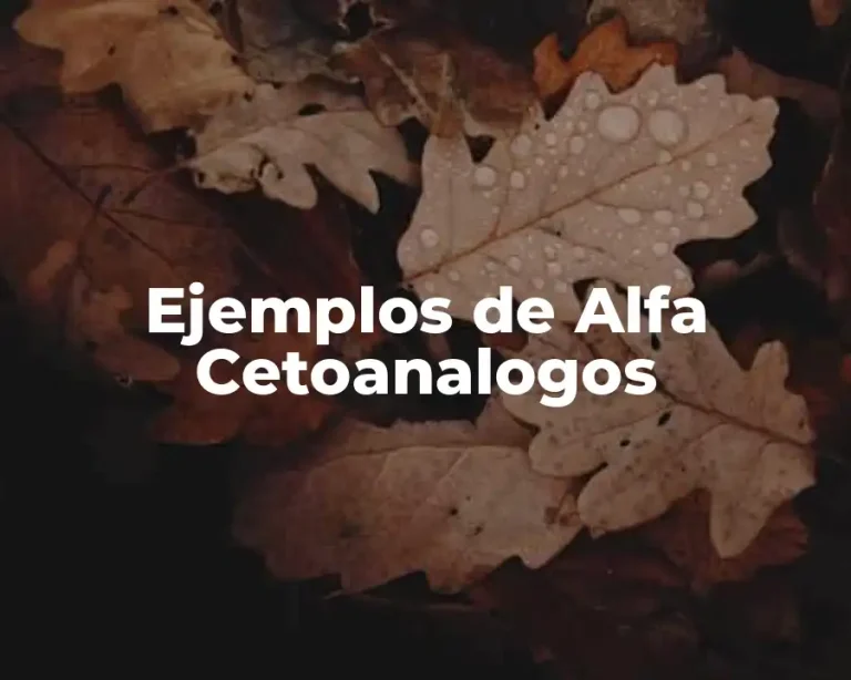Ejemplos de Alfa Cetoanalogos