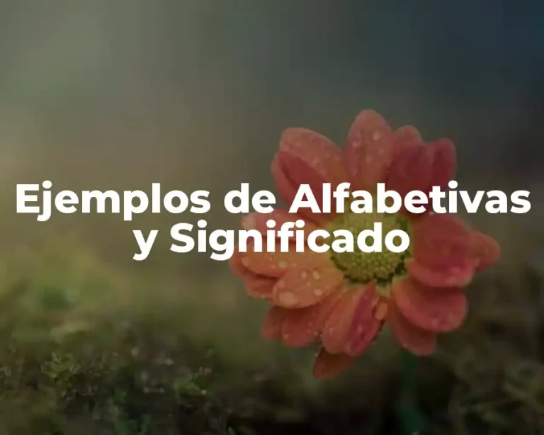 Ejemplos de Alfabetivas y Significado