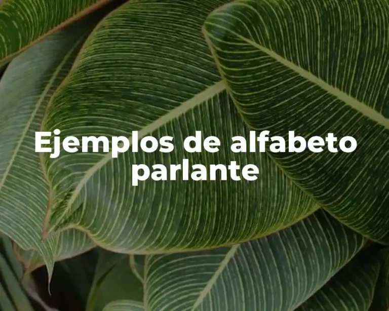 Ejemplos de alfabeto parlante