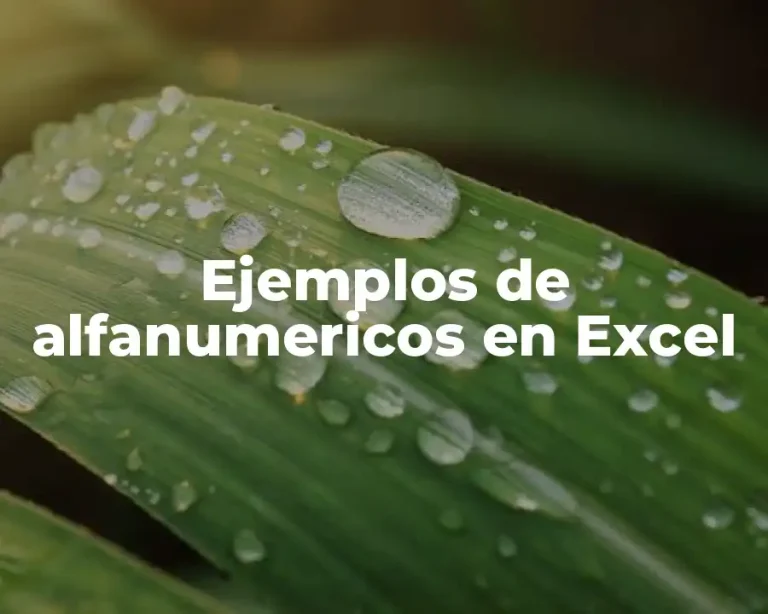 Ejemplos de alfanumericos en Excel