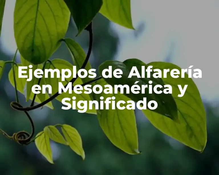 Ejemplos de Alfarería en Mesoamérica y Significado
