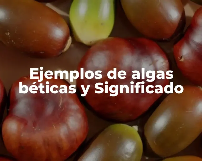Ejemplos de algas béticas y Significado