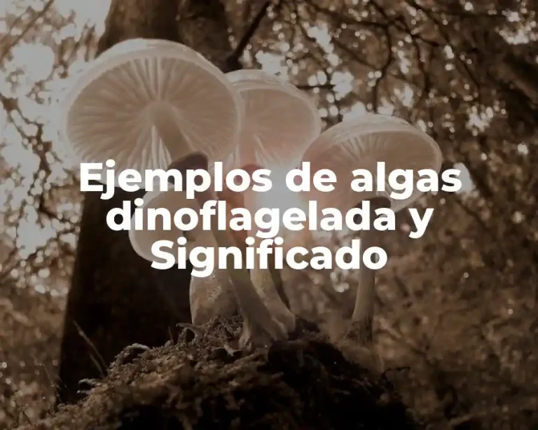 Ejemplos de algas dinoflagelada y Significado