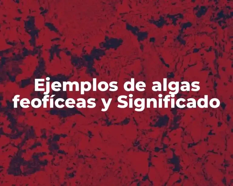 Ejemplos de algas feofíceas y Significado