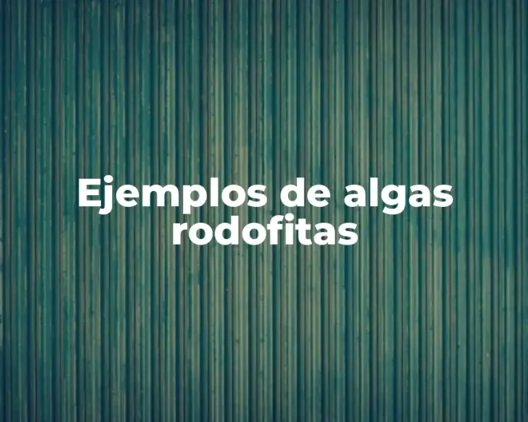 Ejemplos de algas rodofitas