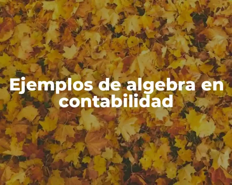 Ejemplos de algebra en contabilidad