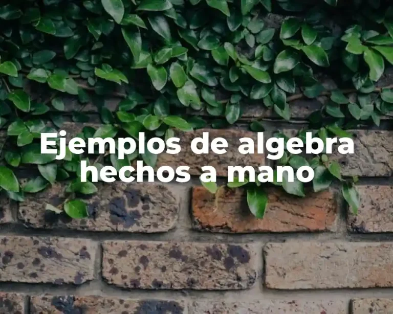 Ejemplos de algebra hechos a mano
