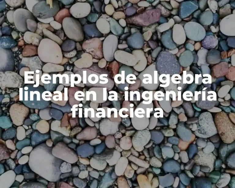 Ejemplos de algebra lineal en la ingeniería financiera