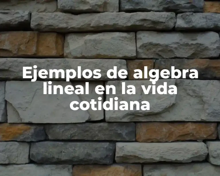 Ejemplos de algebra lineal en la vida cotidiana