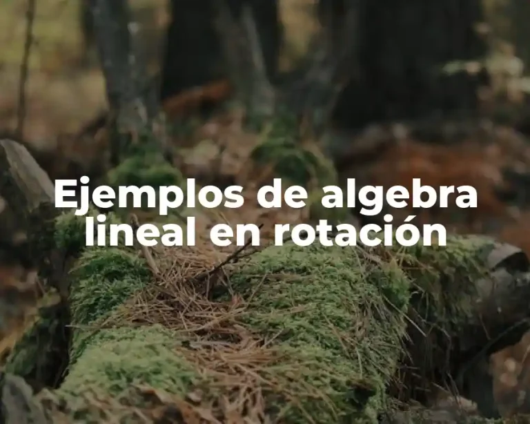 Ejemplos de algebra lineal en rotación
