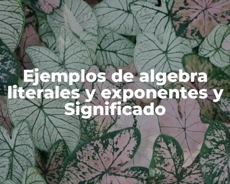 Ejemplos de algebra literales y exponentes y Significado