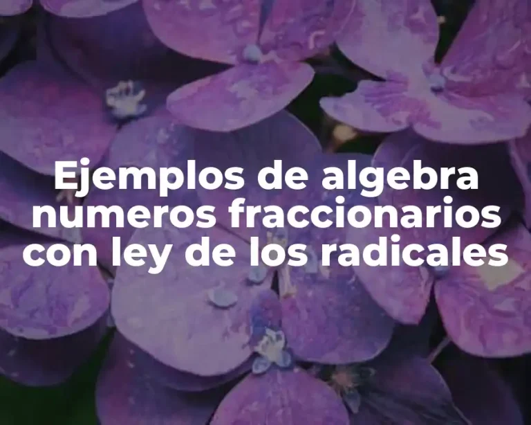 Ejemplos de algebra numeros fraccionarios con ley de los radicales