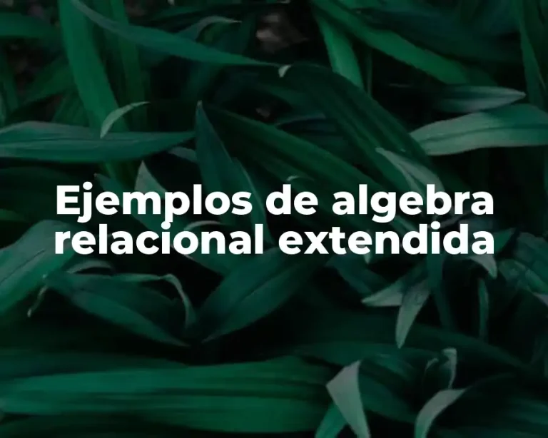 Ejemplos de algebra relacional extendida